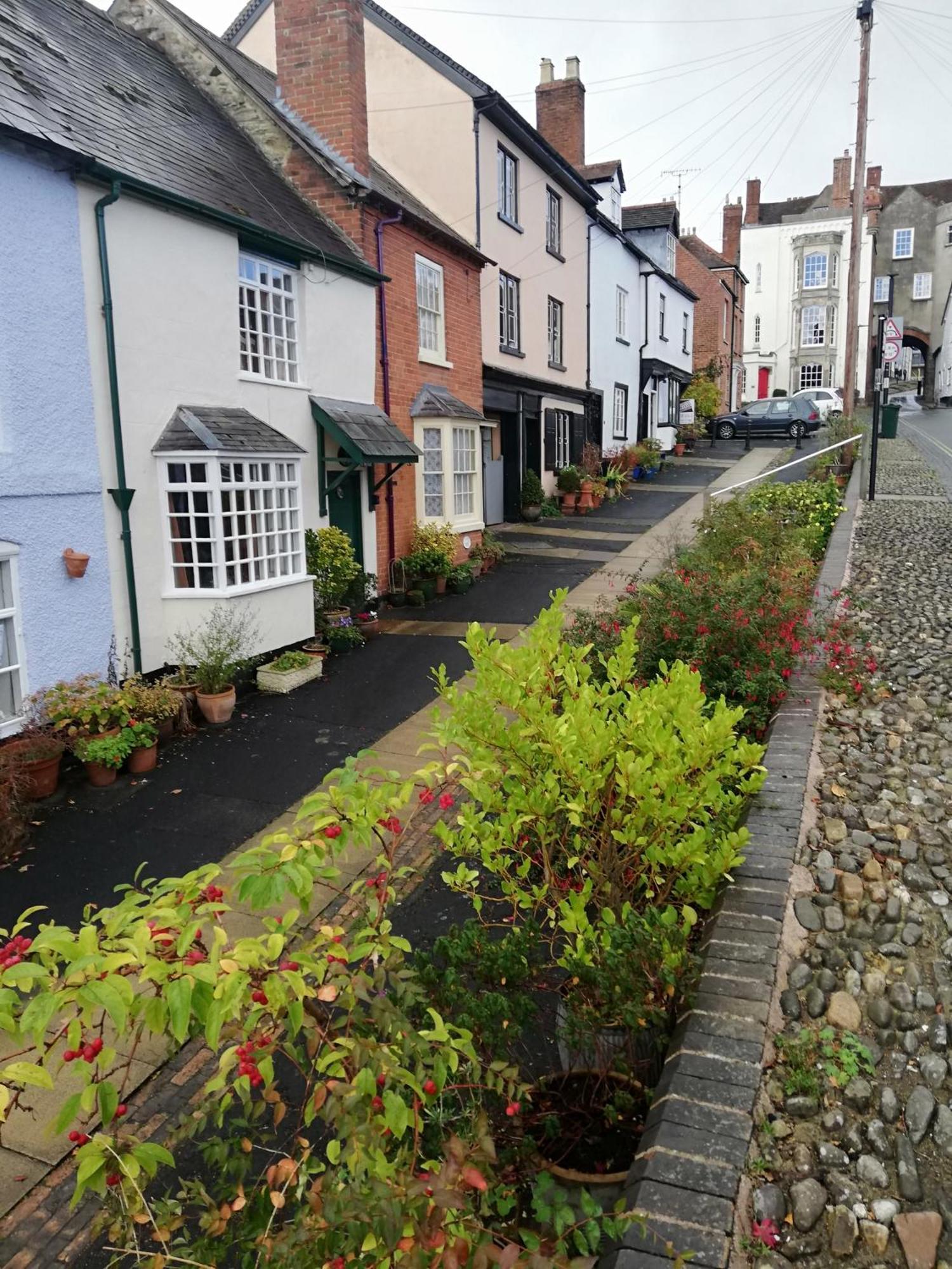 Toad Hall Ludlow Exterior foto